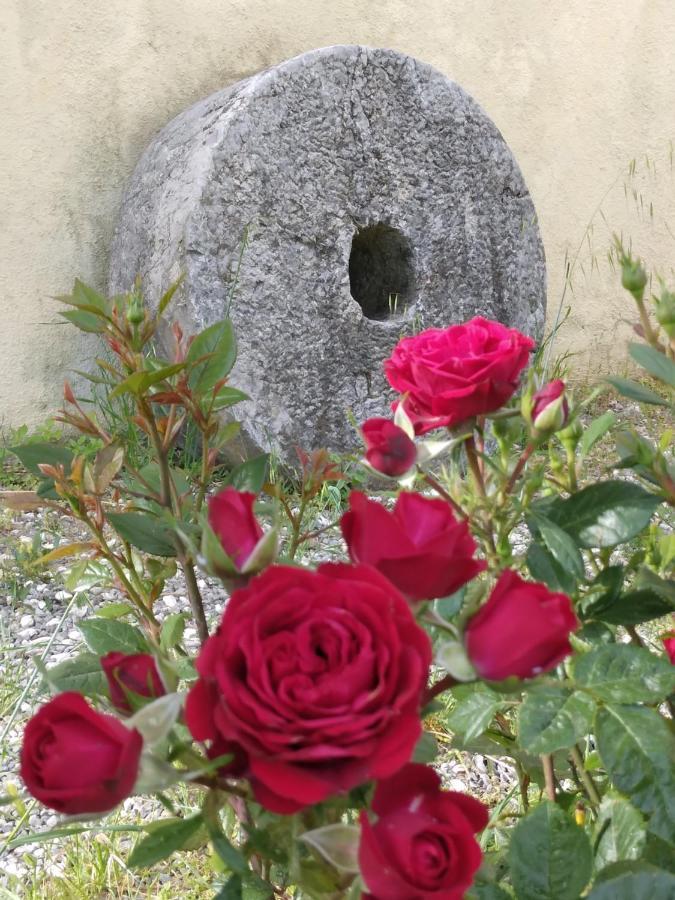 Il Giardino Di Julia B&B Tortora Kültér fotó