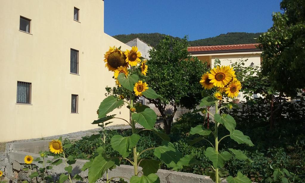 Il Giardino Di Julia B&B Tortora Kültér fotó