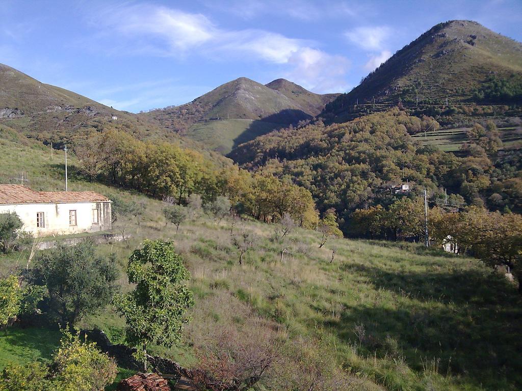 Il Giardino Di Julia B&B Tortora Kültér fotó