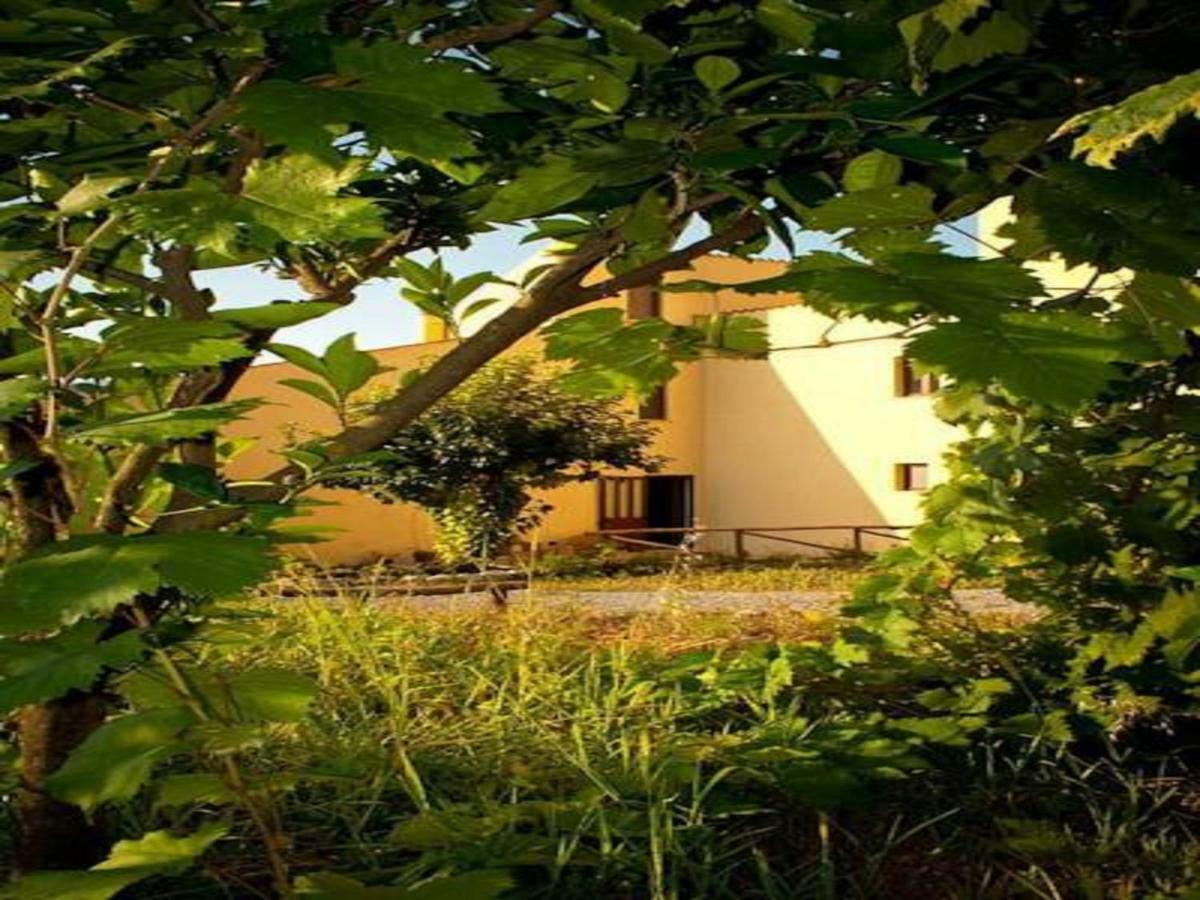 Il Giardino Di Julia B&B Tortora Kültér fotó