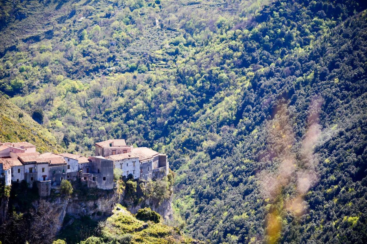 Il Giardino Di Julia B&B Tortora Kültér fotó