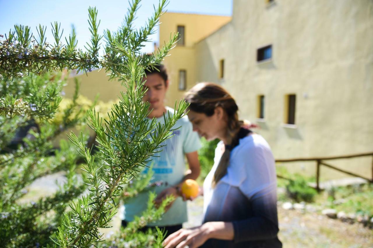 Il Giardino Di Julia B&B Tortora Kültér fotó
