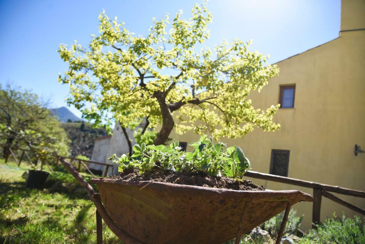 Il Giardino Di Julia B&B Tortora Kültér fotó
